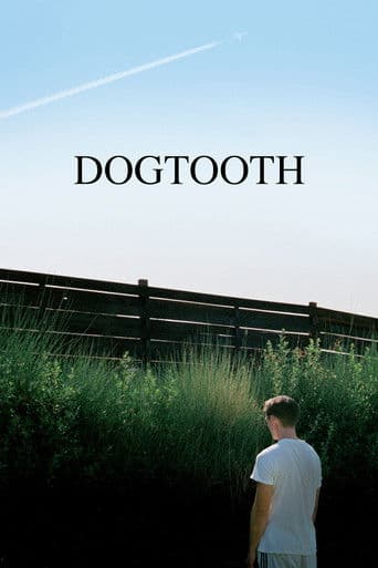 Köpek Dişi