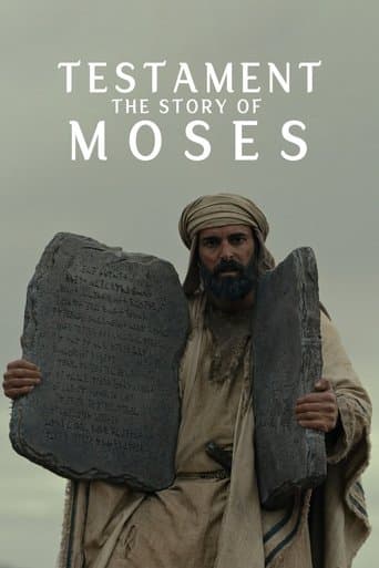 Ahit: Musa'nın Hikâyesi