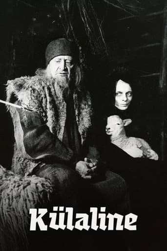 The Visitor