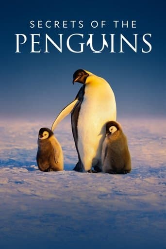 Penguenlerin Gizemli Dünyası