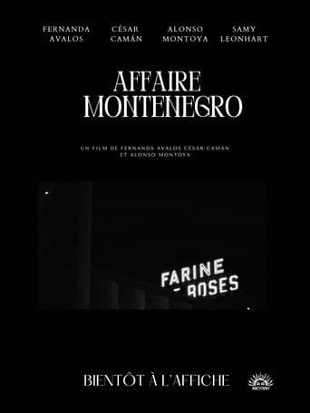 The Montenegro Affair