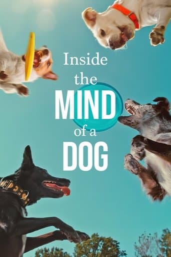Köpeklerin Aklından Neler Geçiyor?