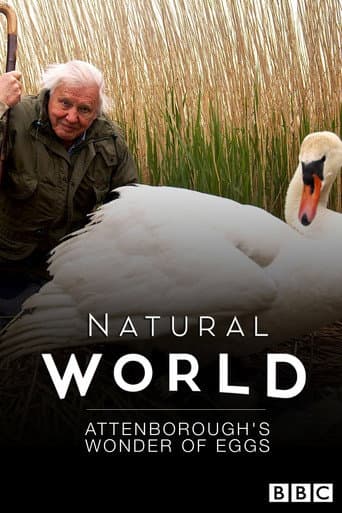 Attenborough’nun Yumurtaların Mucizesi