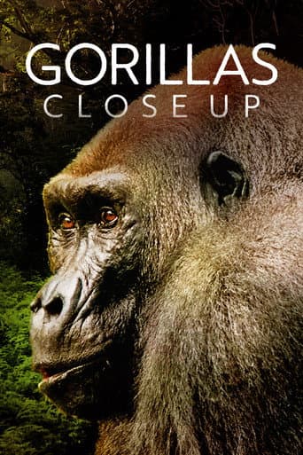 Gorillere Yakından Bakış